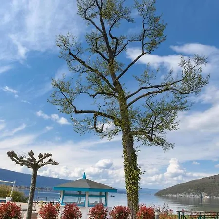 Appartement Rare : Au Bord Du D’annecy, Cosy En Rez De Jardin Avec Terrasse Privative *